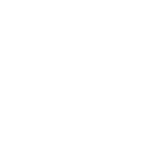 logoBoehringer